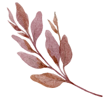 Le Restaurant - Le Chien Fou - Restaurant Saint-Antonin-Noble-Val